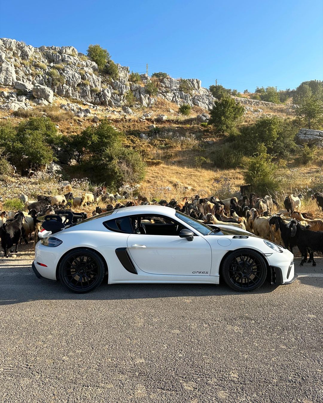 Ghady Rahi on Pinno: GT4 RS! Ever since I started my collabor...