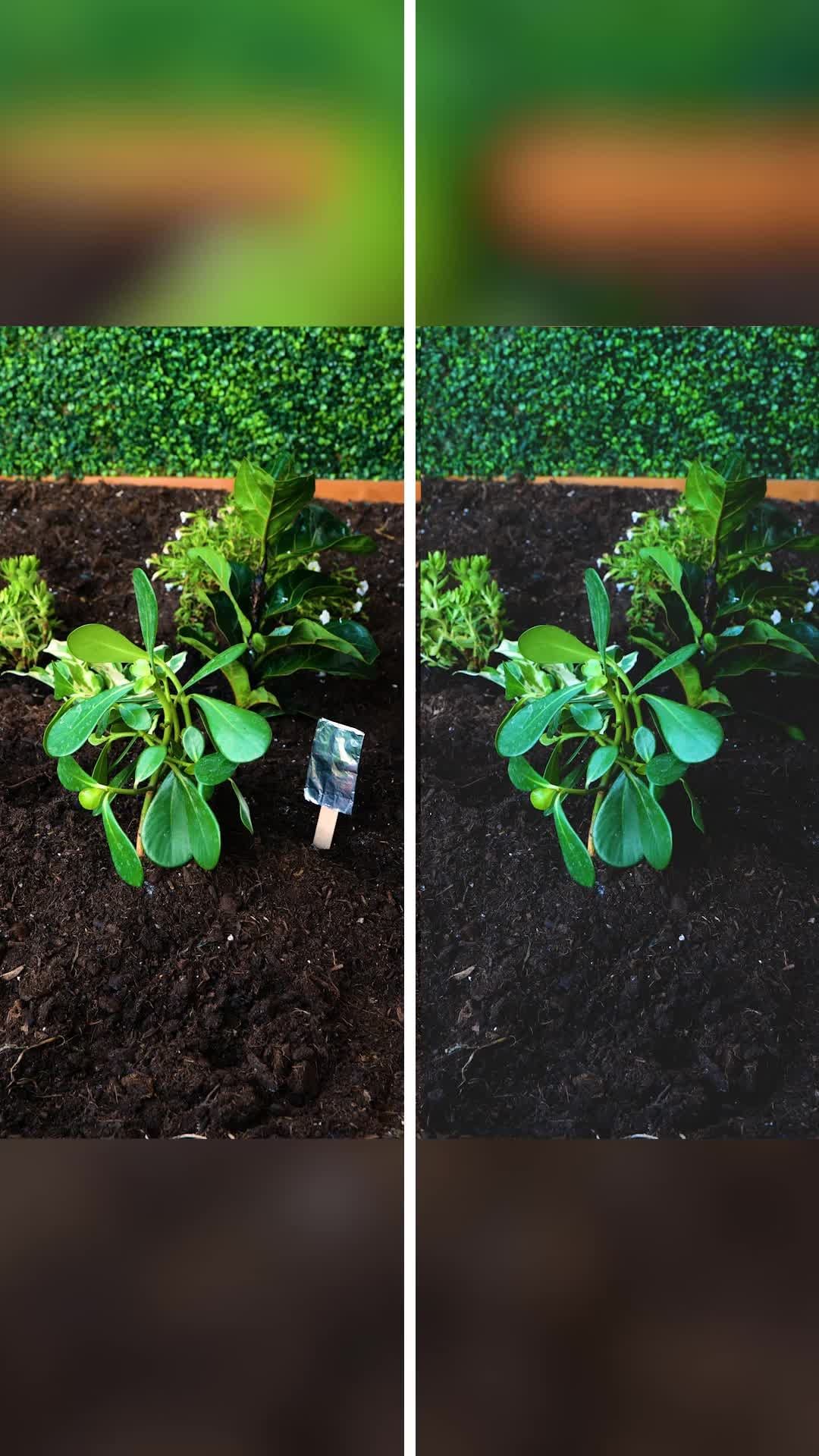 5.minuten.tricksinstagram on Pinno Zeit, deinen Garten mit diesen