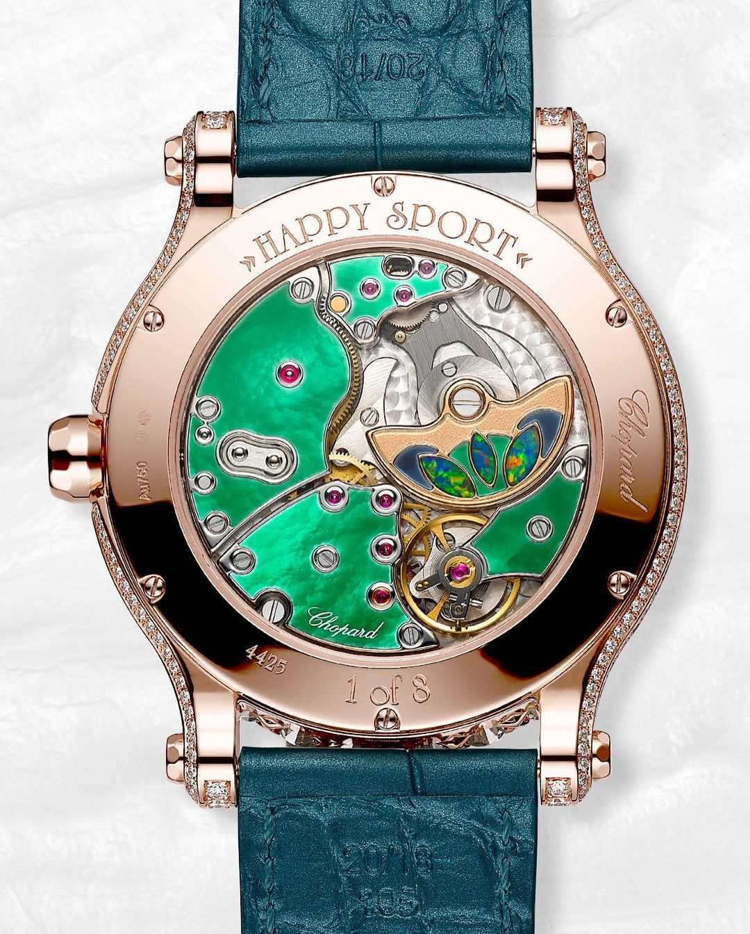 chopard instagram on Pinno The cutest of sea turtles takes you to