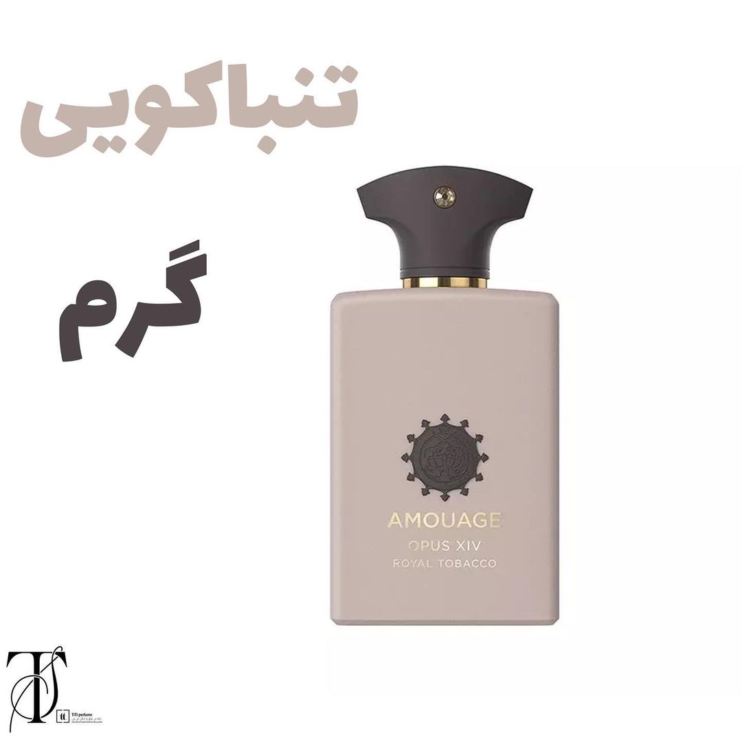 titi perfume instagram on Pinno 14