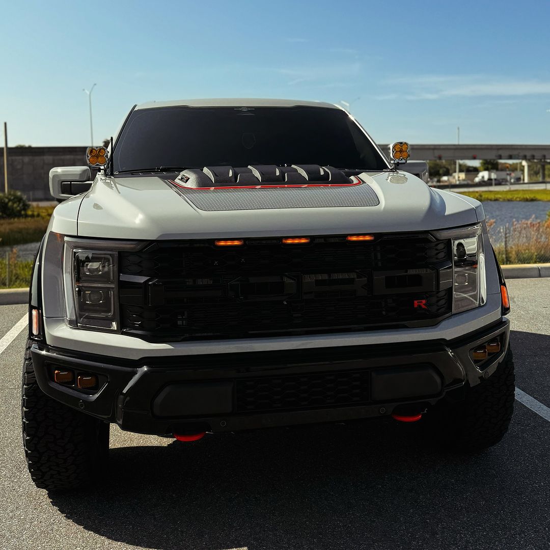 Florida Raptor on Pinno: Happy Tuesday! . 🙏🏼 FOLLOW ME 🙏🏼 . #Ge...