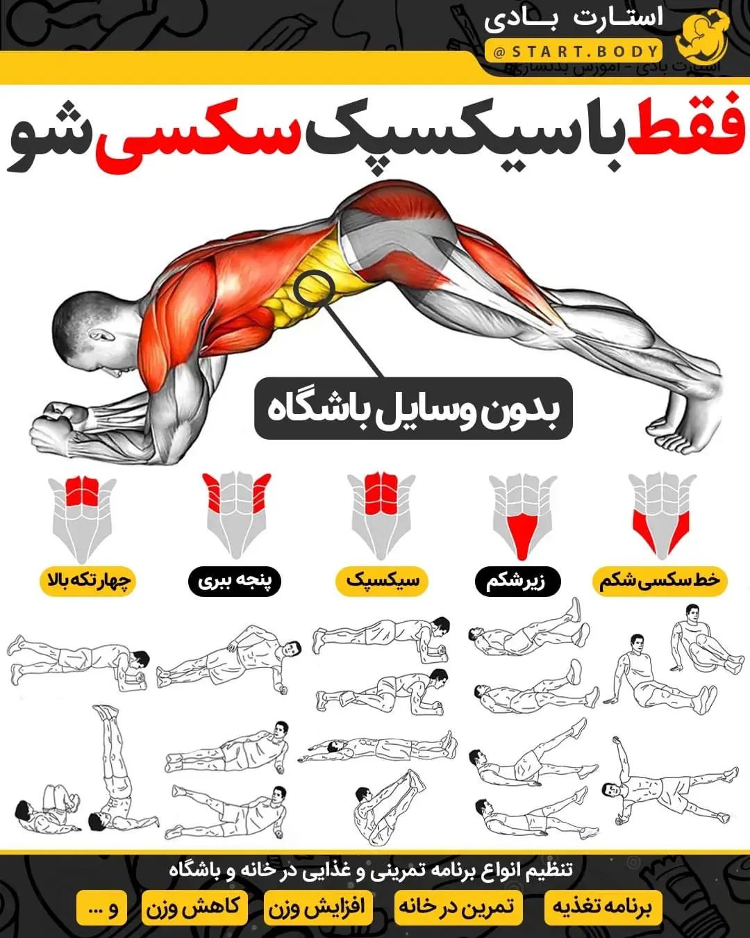 start.body@instagram on Pinno: این پستو سیو داشته باش 🫡 قراره با این تم...