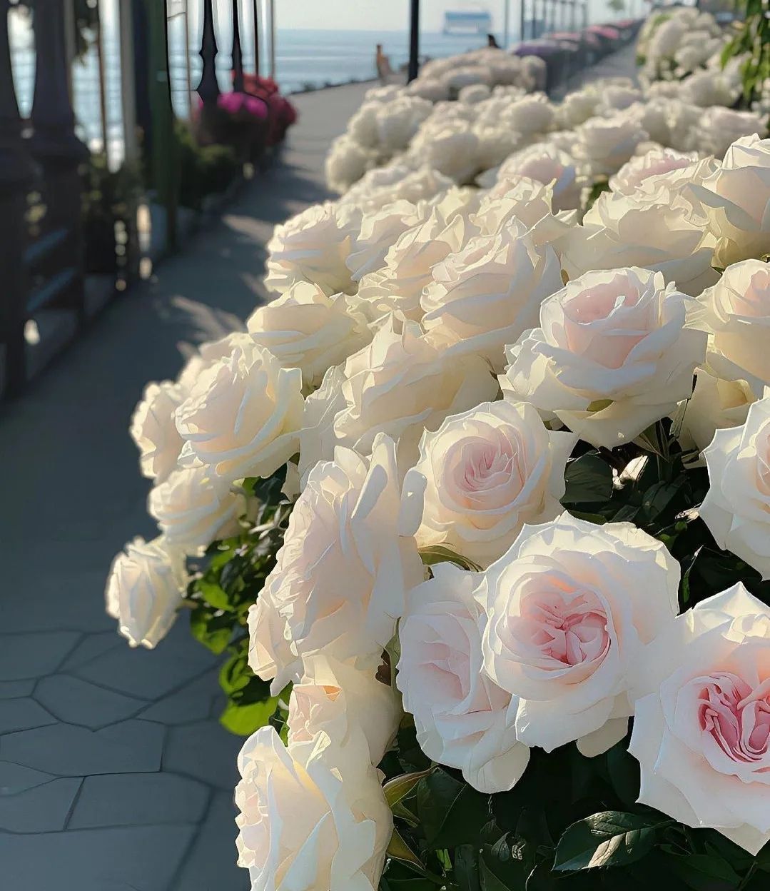 flowersnphoto@instagram on Pinno: 🥀🥀Beautiful Roses🥀🥀 📷 collected ...