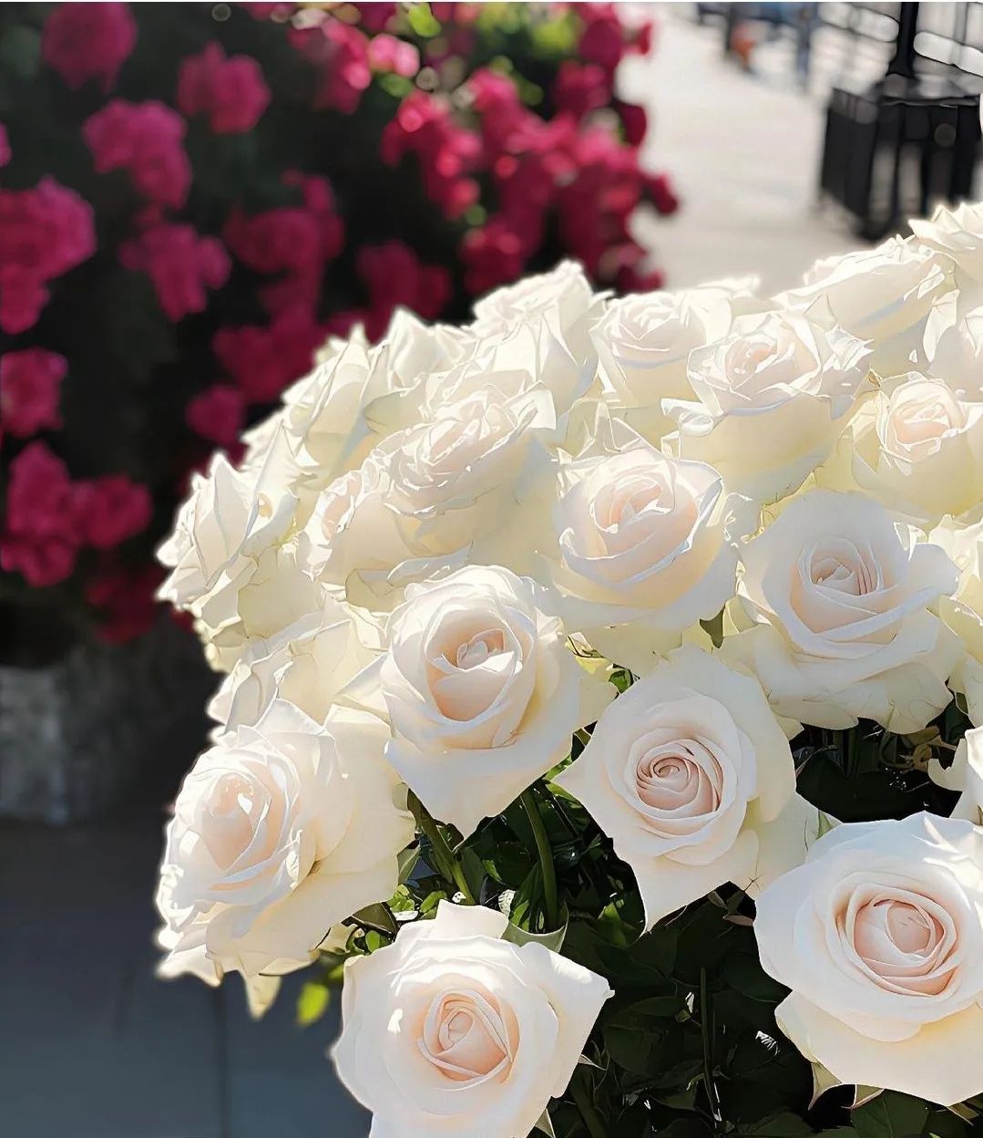 flowersnphoto@instagram on Pinno: 🥀🥀Beautiful Roses🥀🥀 📷 collected ...