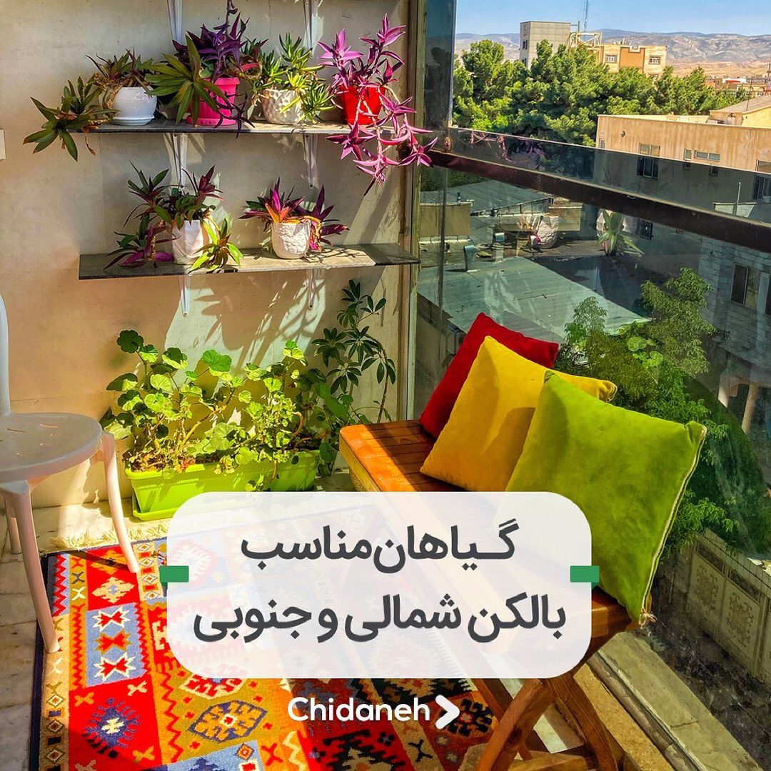 chidaneh@instagram on Pinno: . بالکن منزلتان شمالی است یا جنوبی؟ آیا ...