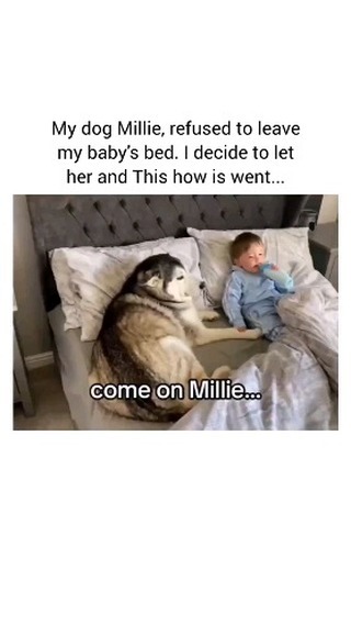 Video by Huskies | Videos | Reels on Pinno: Their HUG at the end 😭😭😭 ...