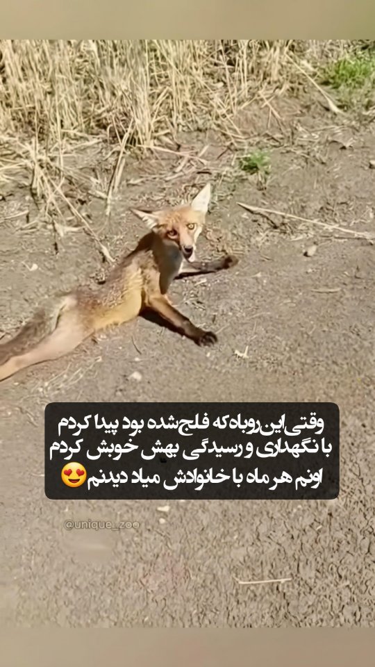 namakstun@instagram on Pinno: پاهاش شکسته بوده البته🥺 . 🎥 by : I'...