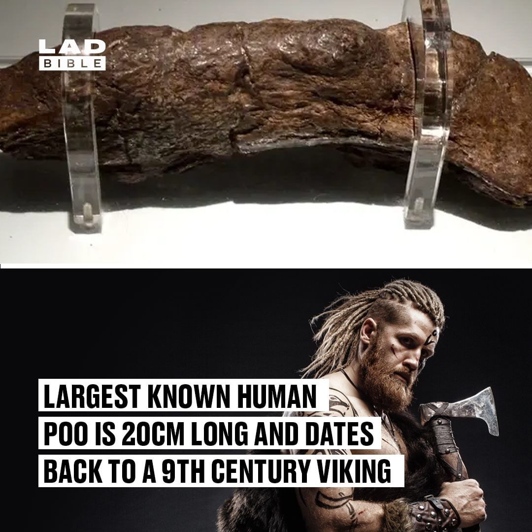 This fossilized human excrement is the largest ever discovered. It is valued at $39,000 and belonged to a sick Viking in the 9th century AD.