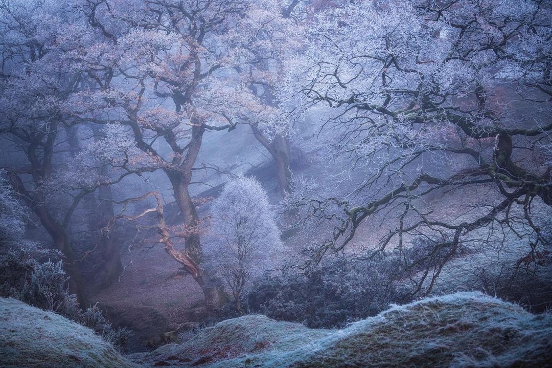 mark_littlejohn@instagram on Pinno: As a photographer I’ve been ...