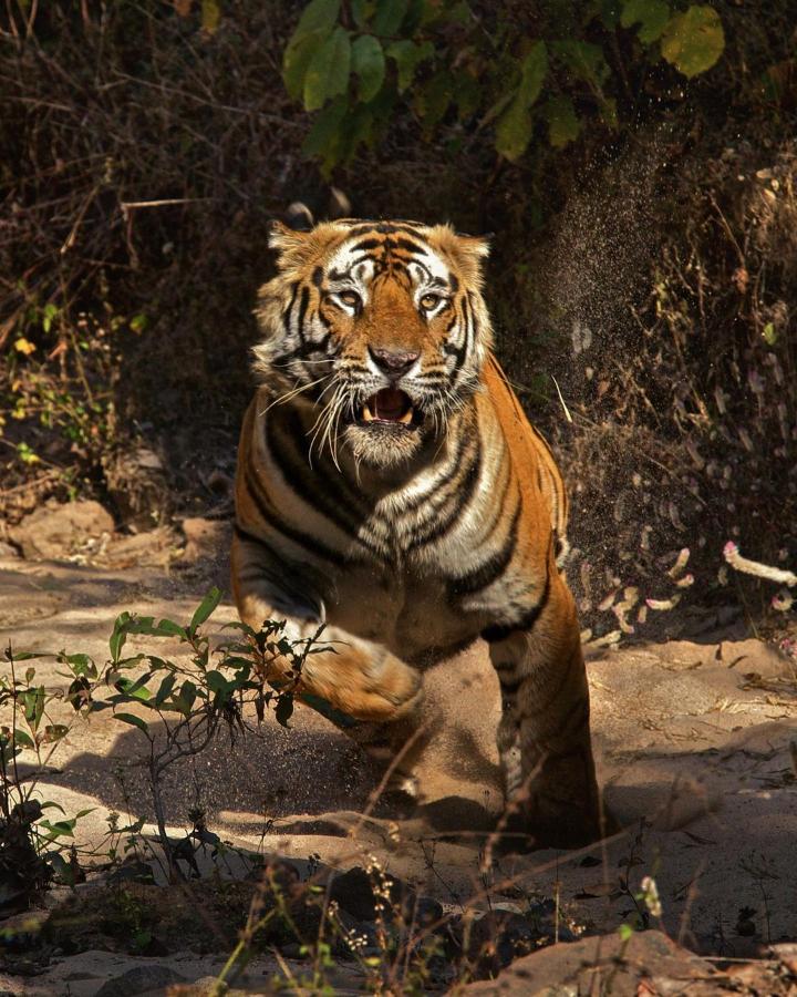 #tigerstyle on Pinno