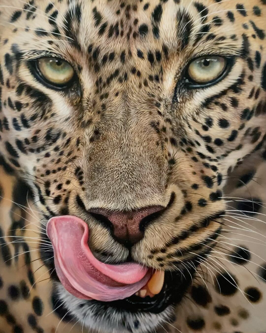 Video by Julie Rhodes on Pinno: ‘The Aftermath’ leopard acrylic painting...
