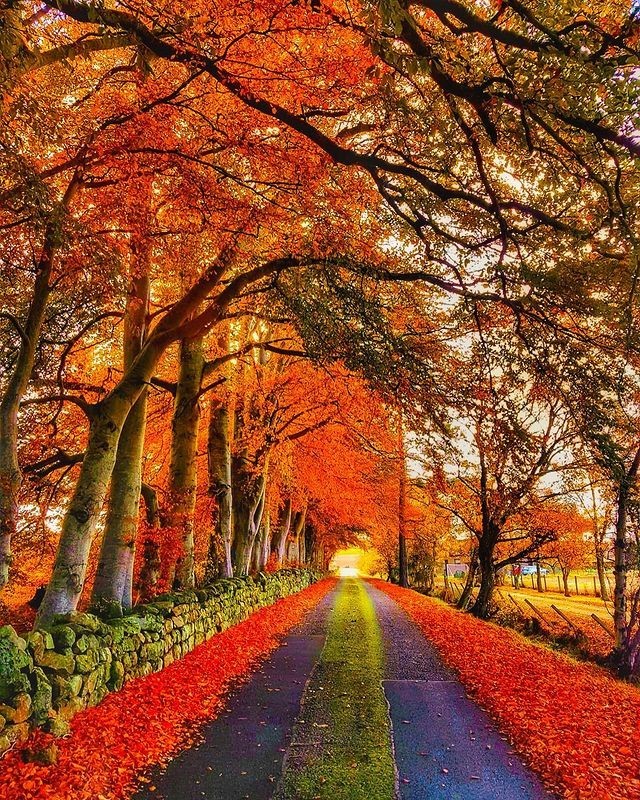 visitscotland@instagram on Pinno: Autumn is officially here! 🍂 🍃🍁 What ...