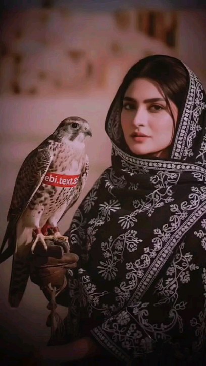 Video by اقبال اجنبی on Pinno: Must save ️‍🩹🎶 #balochivideos #balochi...