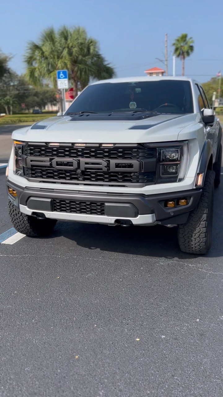 Video by Florida Raptor on Pinno: Happy Tuesday!!! . 🙏🏼 FOLLOW ME 🙏🏼