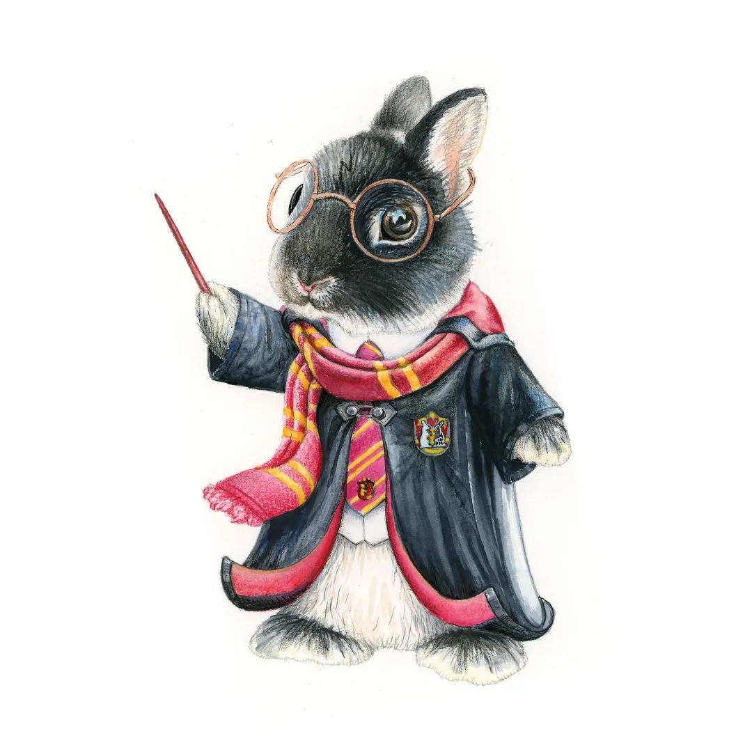 illustrationow@instagram on Pinno: Hare Potter💫Illustration by ...