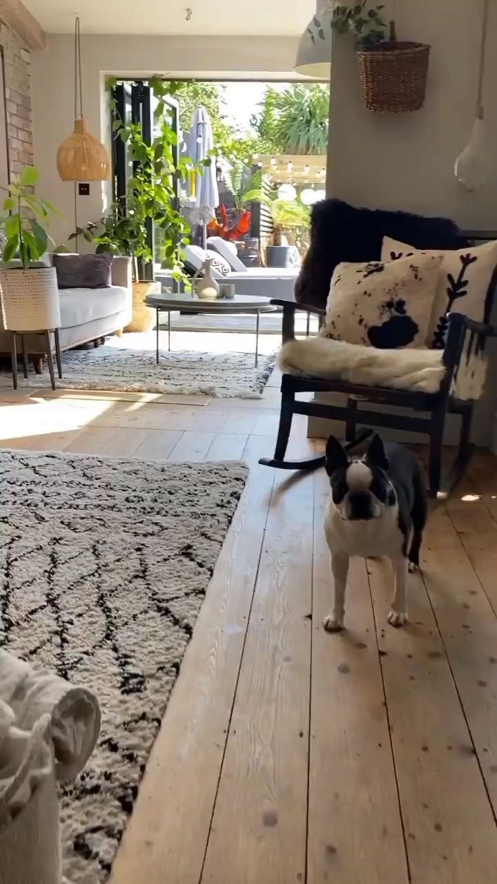 Video by 247Interiors on Pinno: What's your favorite feature in this...