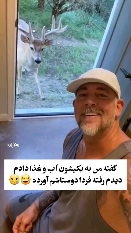 chonan to instagram on Pinno چقدر با معرفته آخه TikTok unknown