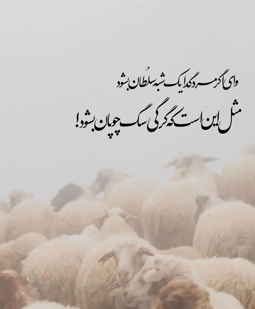 dellkade1@instagram on Pinno: ꩘ یارب مباد آنکه گدا معتبر شود!! . . اس...