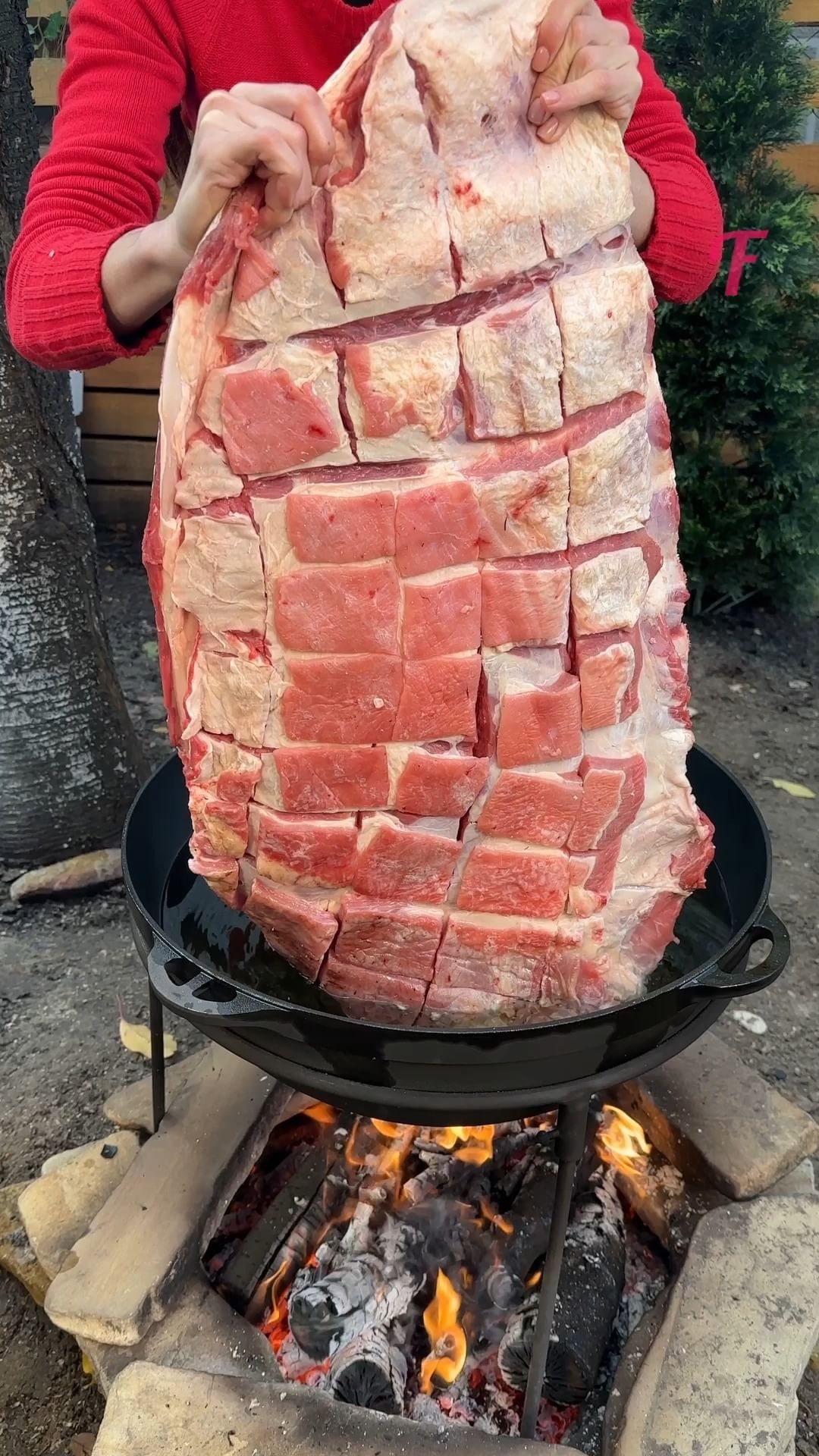 fabiosa_tips_tricks@instagram on Pinno: Fire-Kissed Ribs Delight ...