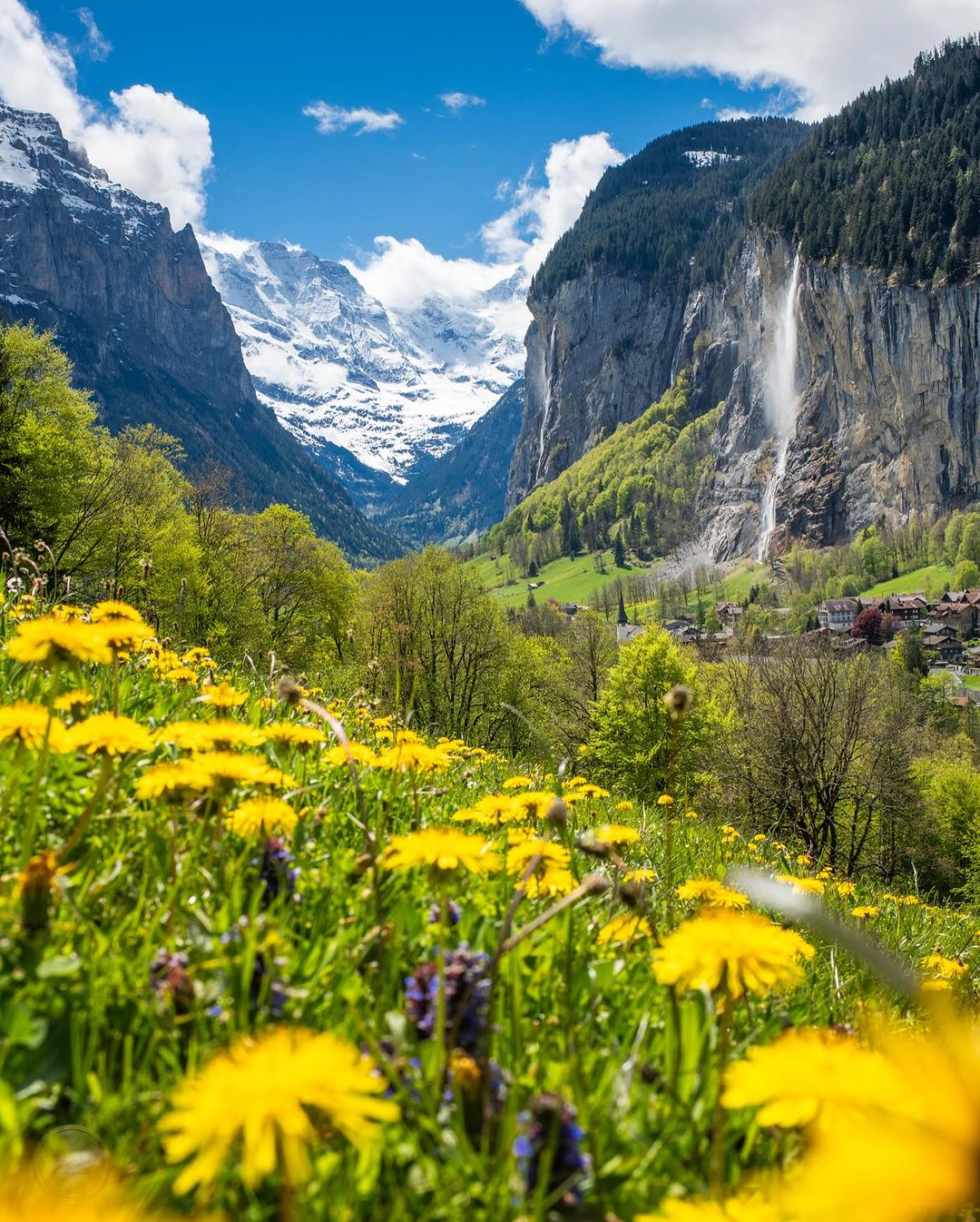 michelphotographych@instagram on Pinno: Who can‘t wait for spring? 🎥 ...