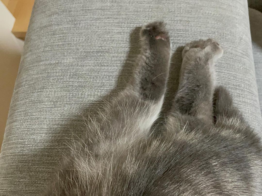 mugiiii0719@instagram on Pinno: おててとあし